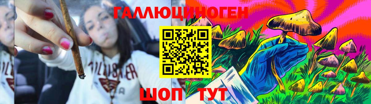 Псилоцибиновые грибы мухоморы Реутов